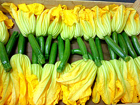 Fleurs de courgettes