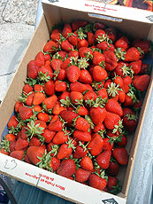 fraises_pernes.jpg