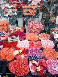 Oeillets du marché aux fleurs de Nice