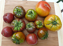 tomates_anciennes.jpg